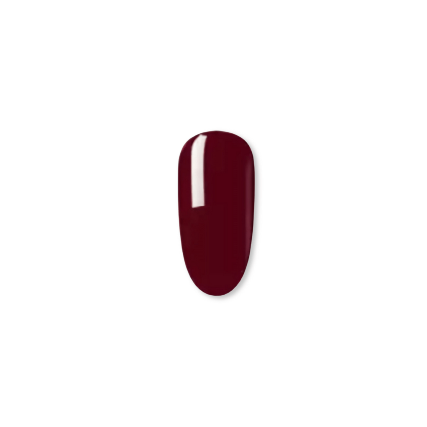 026 Burgundy Babes